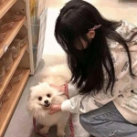 勇敢者游戏决战丛林游戏